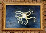 Octopus op paneel