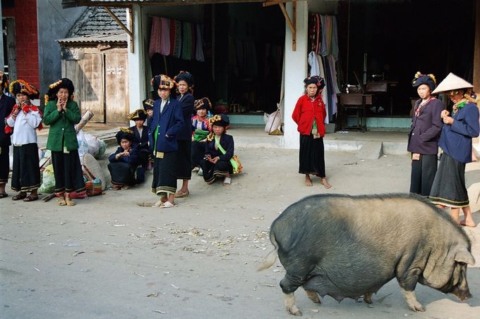 Noord Vietnam